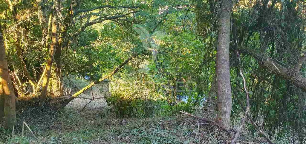 Aed - Urban Plot with River View in Lever
