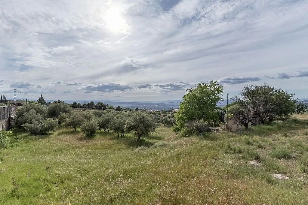 Garden - Rustic Farmhouse with Olive Grove in Monachil