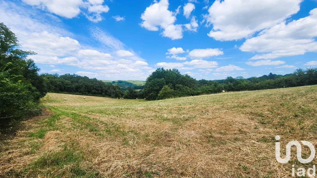 Aed - Renaissance Manor with 14 Ha in Jaure