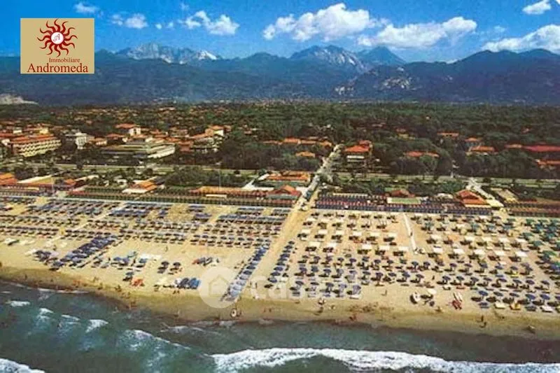 Villa with Beach Access in Forte dei Marmi