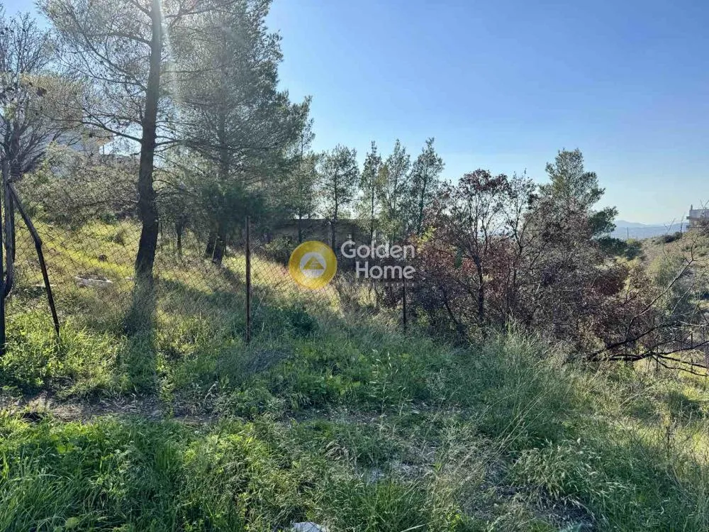 Aed - Plot with Mountain View in Athens East