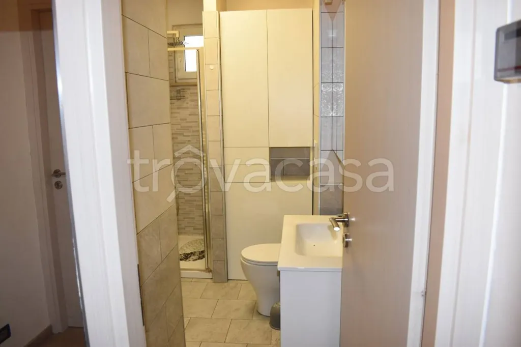 Salles de bain - Quadruplex with Terrace in Castel del Piano