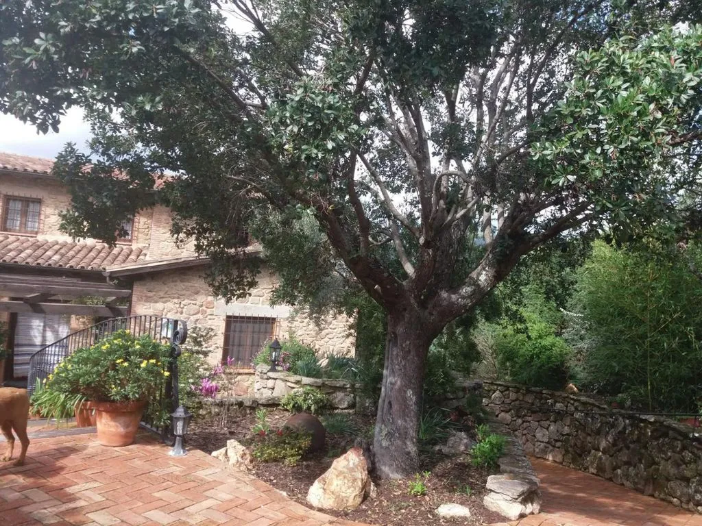 Jardin - Luxury Villa with Garden in La Pesga