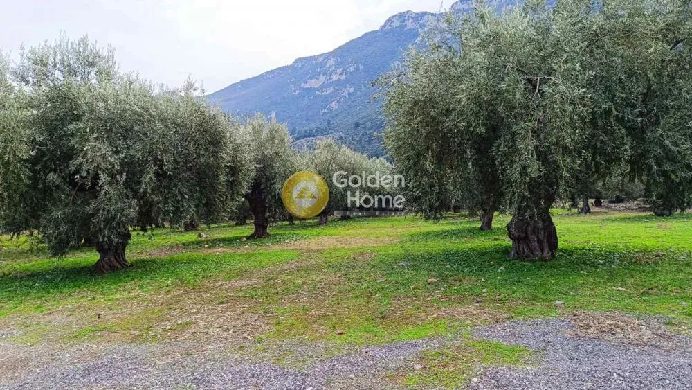 Aed - Buildable Plot with Sea View in Agios Konstantinos