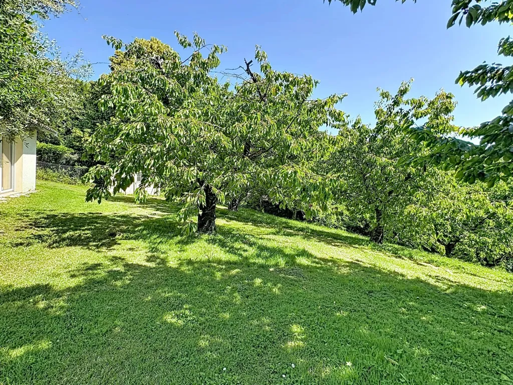 Garden - Villa with Pool in Vienne Heights