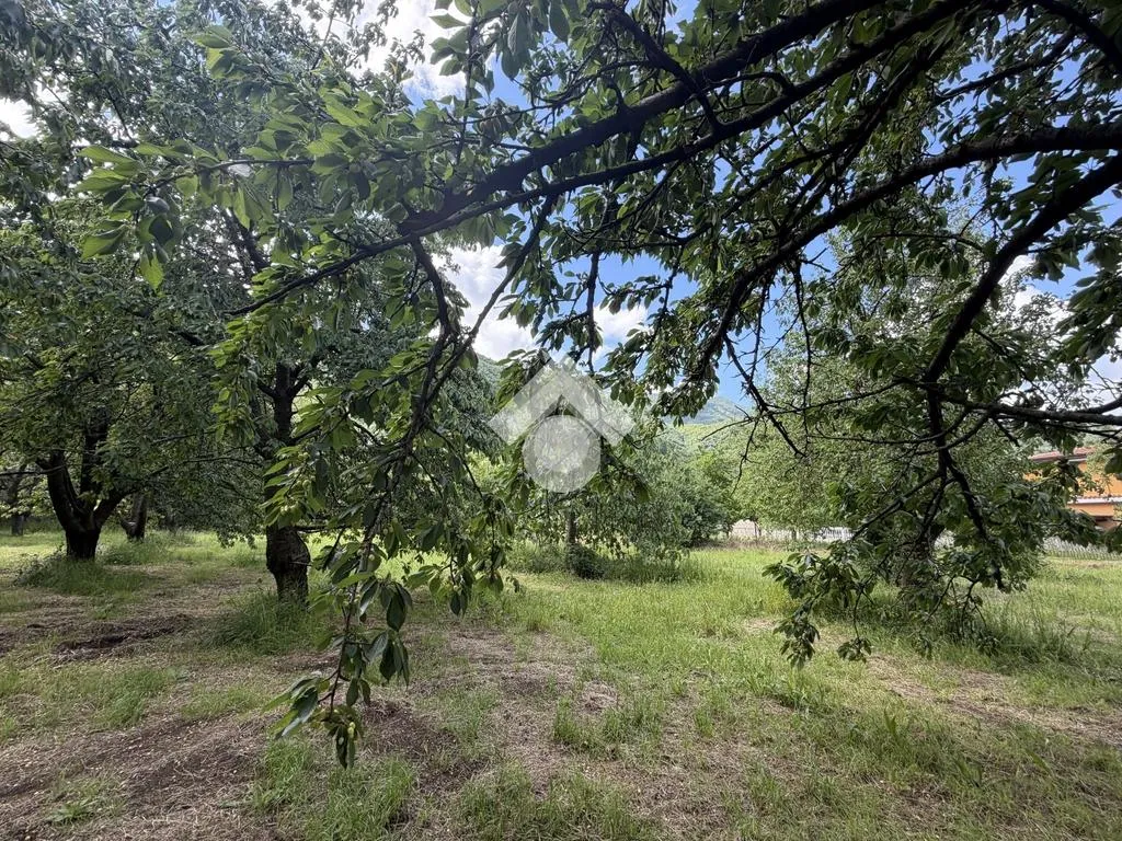 Jardin - Agricultural Land with Cherry Trees in Cervinara
