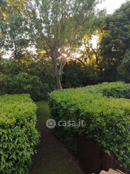 Aed - Independent House with Large Garden in Scorzè