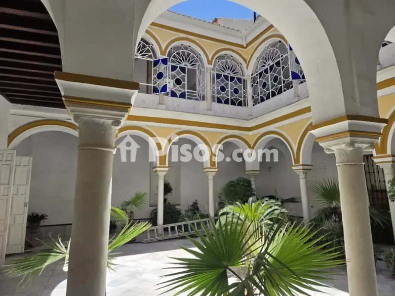 Giardino - Palace-Style Flat with Rooftop in Seville
