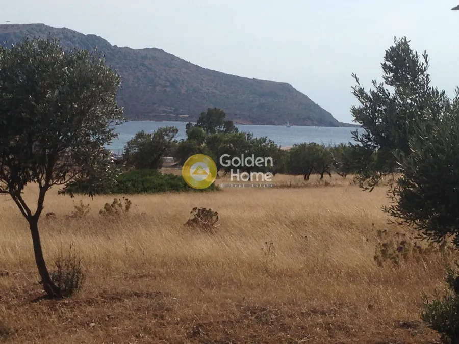 Jardin - Agricultural Plot with Sea View in Eastern Attica