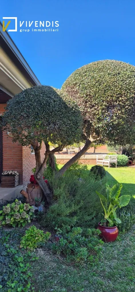 Jardin - Detached House with Pool in Alpicat