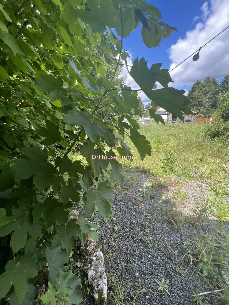 Jardin - Immeuble avec 3 Maisons et Jardins à Mehun-Sur-Yevre