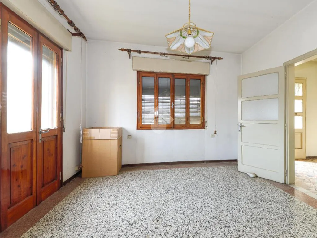 Toad - Detached House with Garden in Pianiga