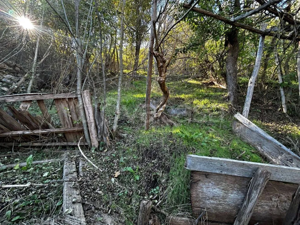 Aed - Three-Storey House with Garden in Bagnasco
