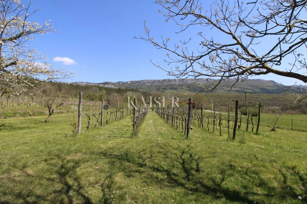 Jardin - Country House with Large Garden in Buzet