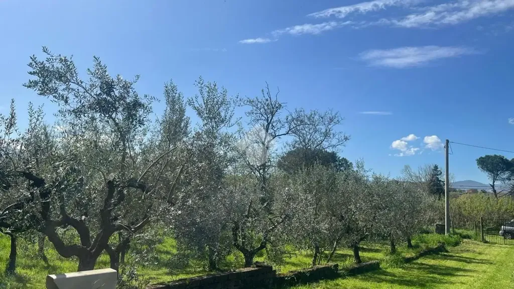 Giardino - Rustic Property with Private Garden in Gallicano Nel Lazio