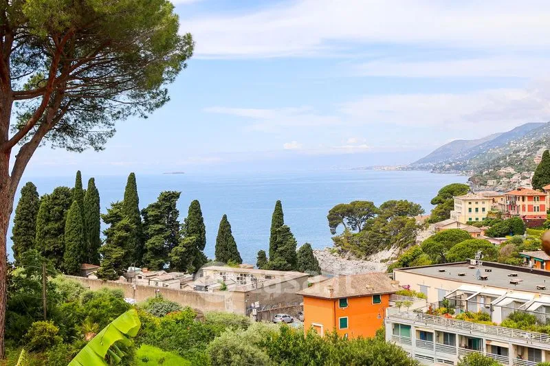Aed - Bright Trilocale with Terraces in Camogli