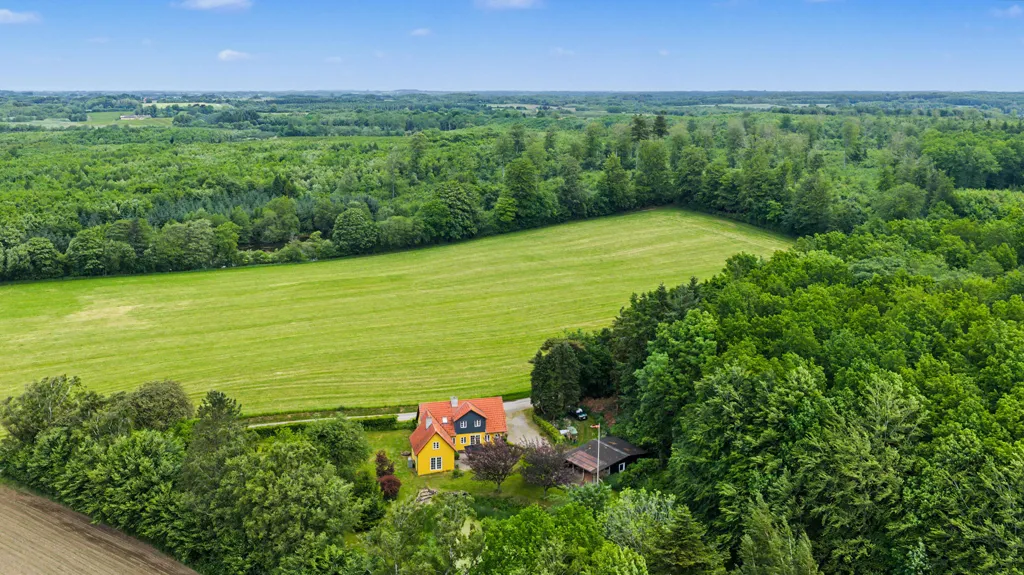 Aerial - Villa with Forest View in Faaborg