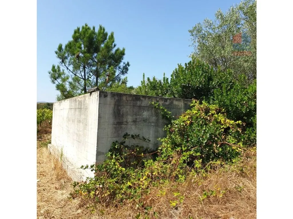 Aed - Luxury House with Olive Grove in Vila Real