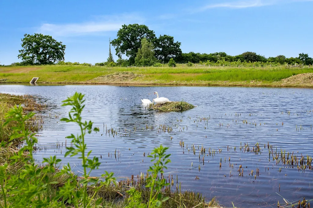 Aed - Year-Round Plot with 5G Coverage in Næstved