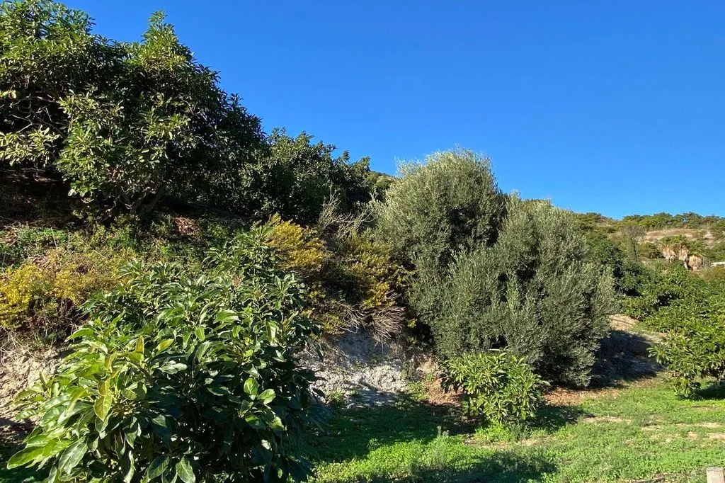 Aed - Luxury Farmhouse with Pool in Motril