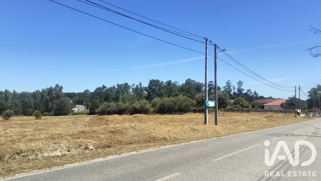 Rural Land with Expansion Potential in Tondela