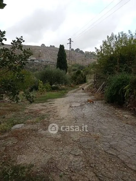Jardin - Rustic Farmhouse with Land in San Cataldo