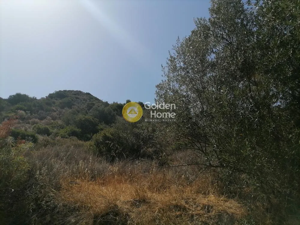 Aed - Agricultural Land with Unrestricted View in Phaistos