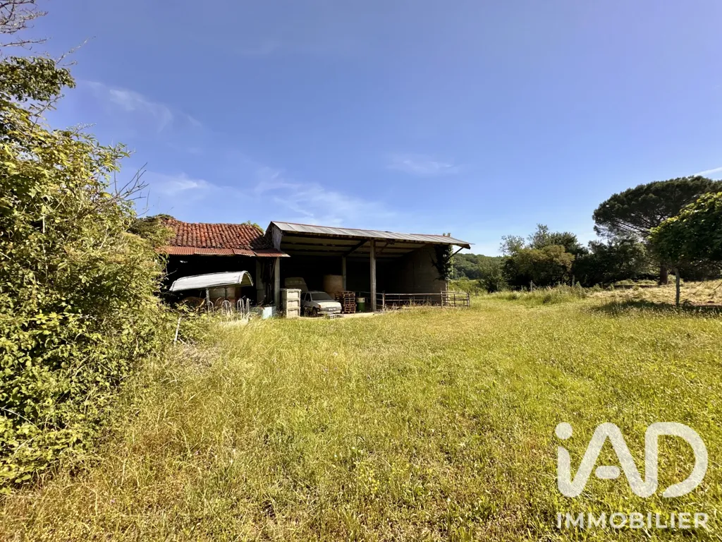 Giardino - Historic House with Pyrenees View in Betplan