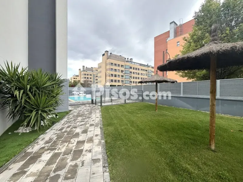 Piscine - Ground Floor Flat with Private Garden in Fuenlabrada