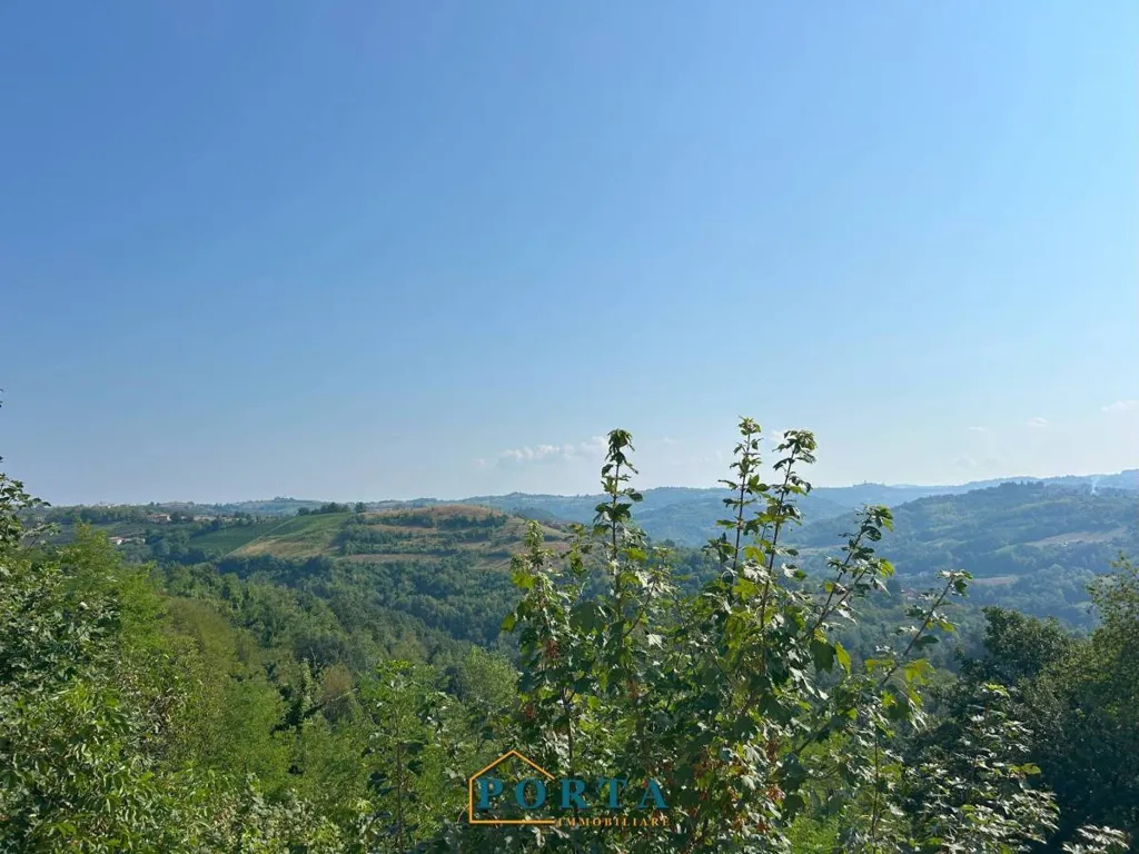 Jardin - Terraced House with Panoramic View in Rocca Cigliè