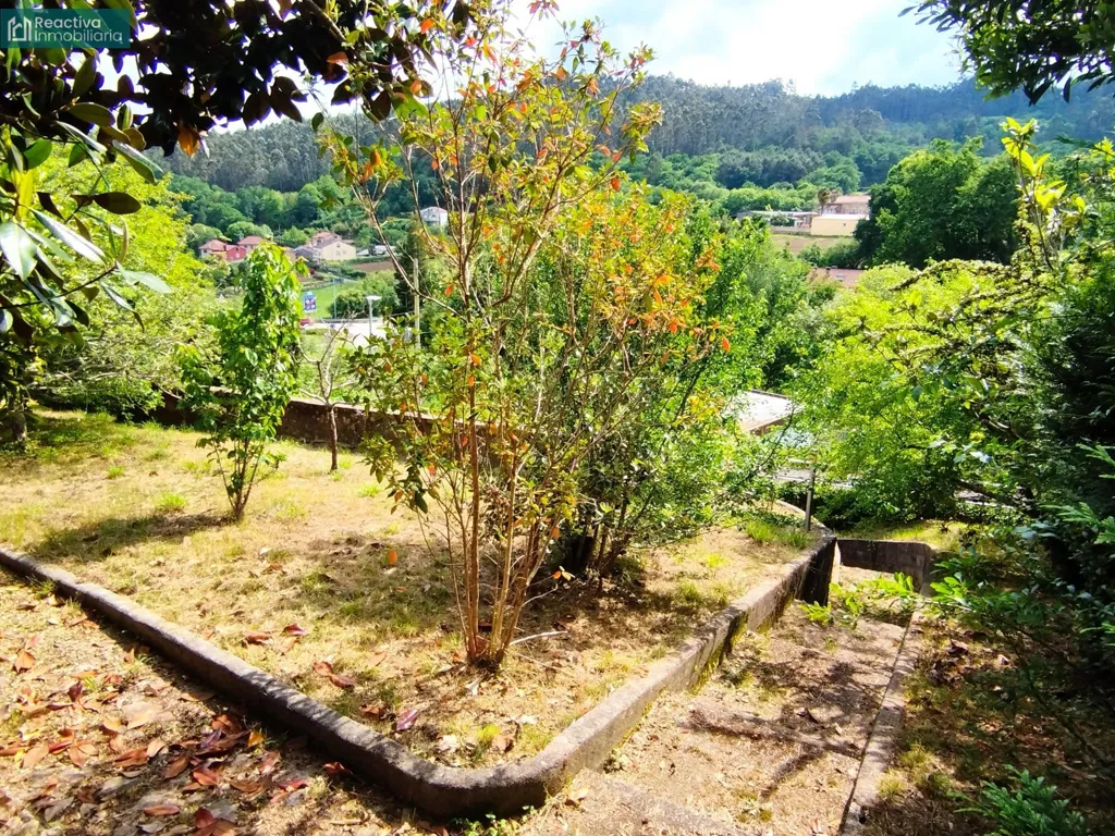Jardin - Chalet with Garden in Los Tilos