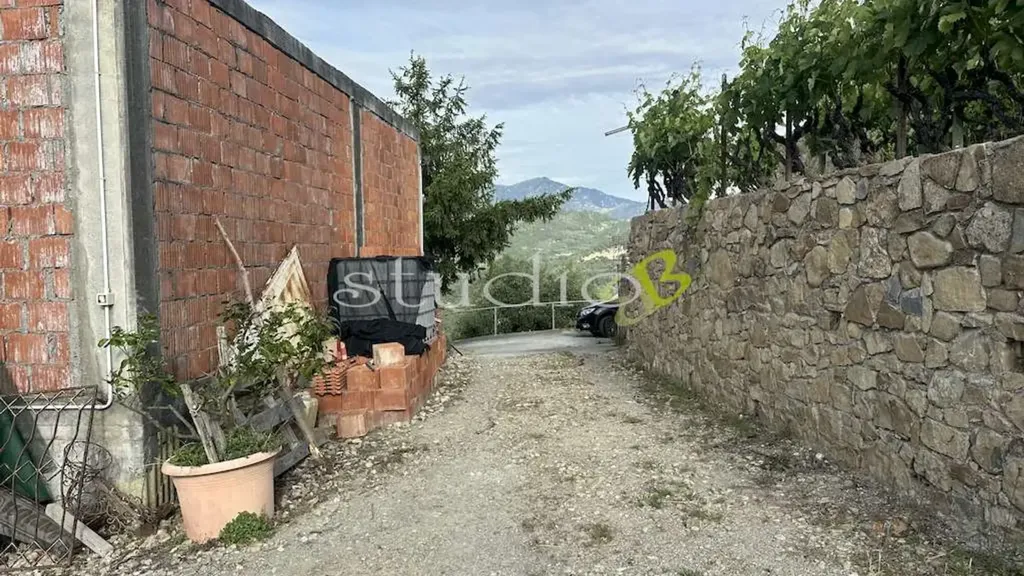 Garden - Rustic House with Vineyard in San Biagio della Cima