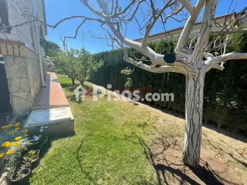Garden - Chalet with Garden in Isla Cristina