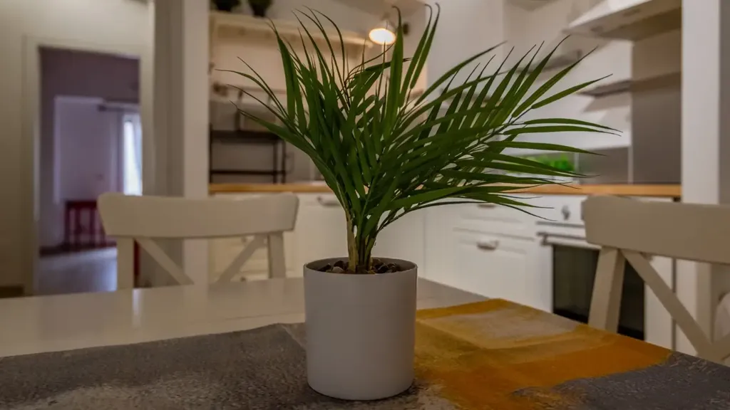 dining_room
