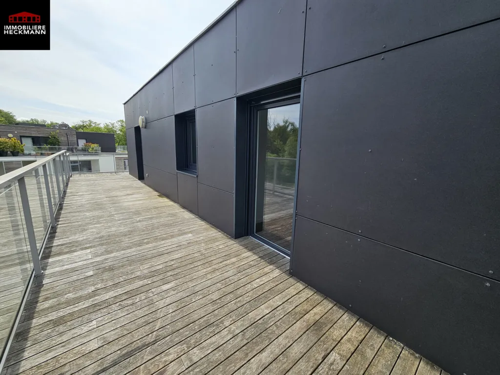 Terrass - Attic Flat with 40 m² Terrace in Robertsau