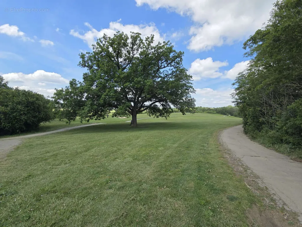 Aed - Charming Property with Golf Access in Dremil-Lafage