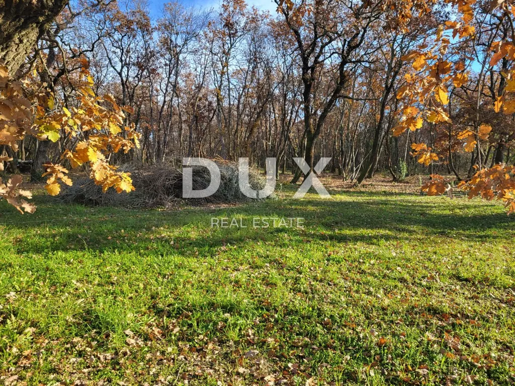 Giardino - Planned Development with Agricultural Land in Umag
