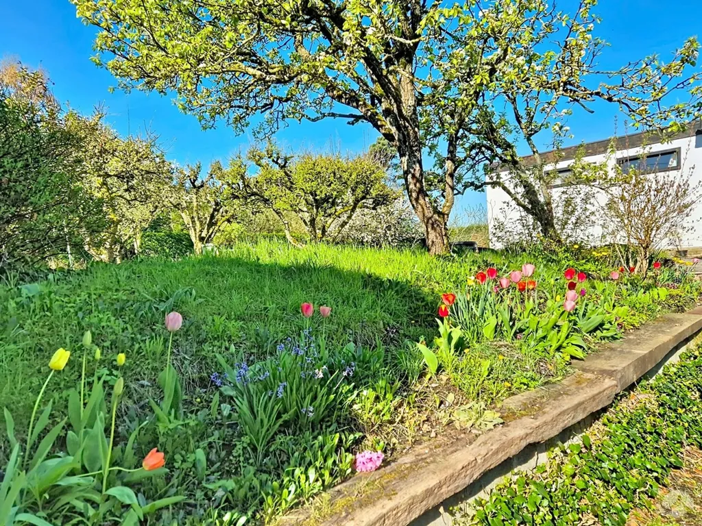 Aed - South-West Oriented House with Garden in Baisy-Thy