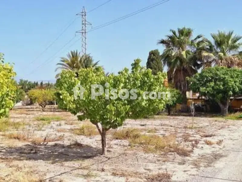 Jardin - Chalet with Pool in Villafranqueza