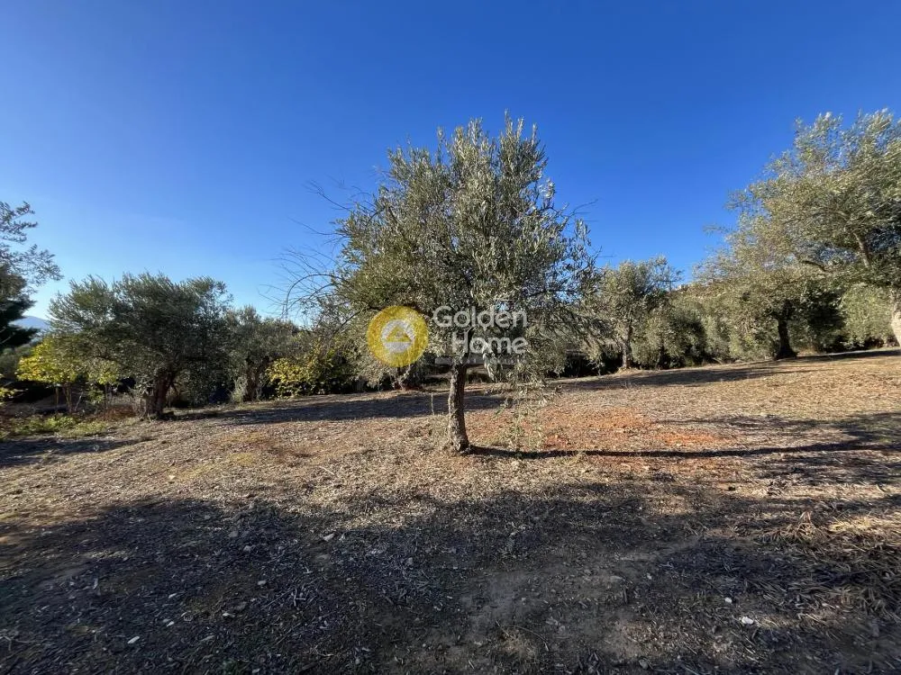 Land in GR