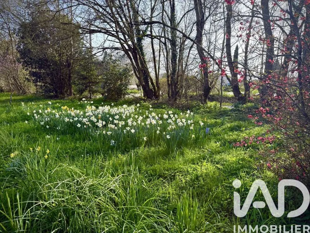Giardino - Historic Property with Potential in Villefollet
