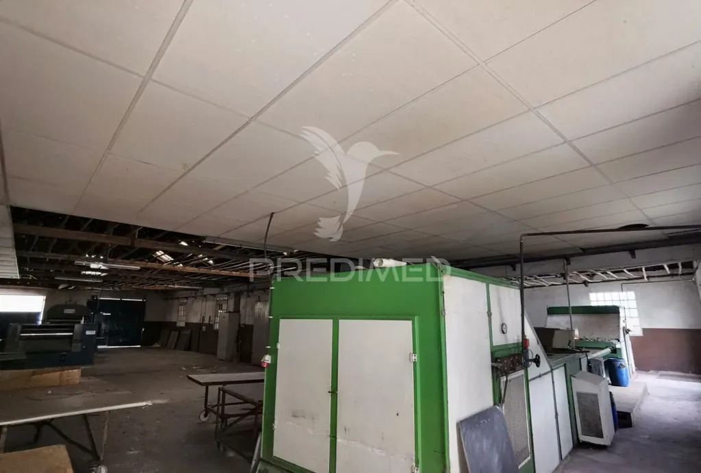 Toad - Industrial Warehouse with Solar Exposure in Vila Moreira