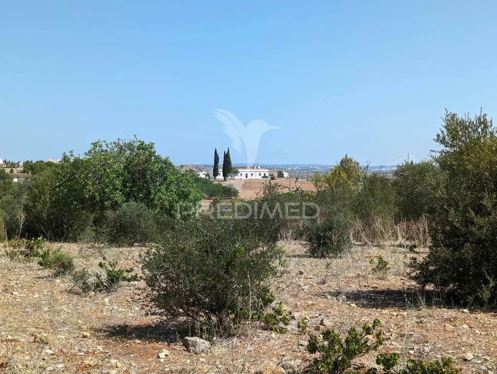 Jardin - Herdade with Ruin in Castro Marim