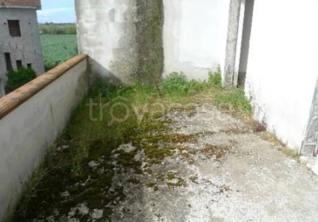 Jardin - Bifamiliar Villa with Garden in Cellole