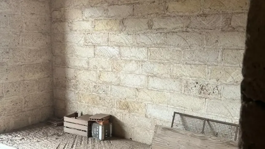Toad - Rustic House with Terrace in Carovigno