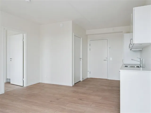 Elutuba - Apartment with Balcony in Dagmarhaven