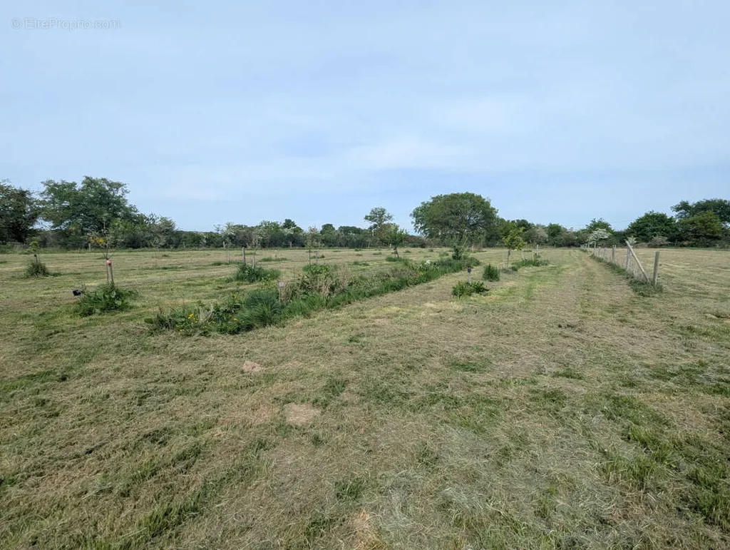 land_plot