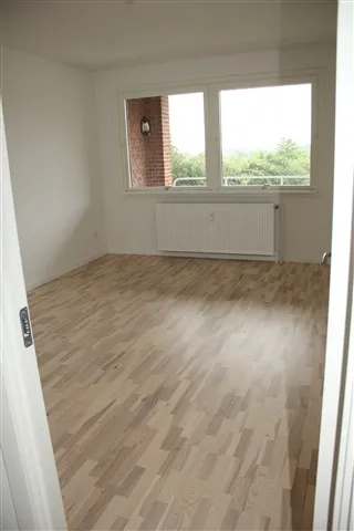 Toad - Renovated Apartment with Balcony in Denmark