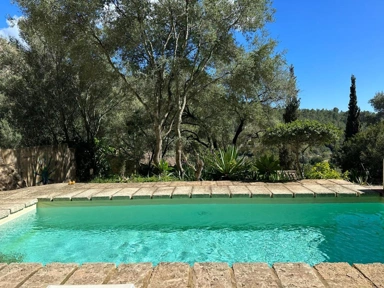 Piscina - Rustic Finca with Pool in Sa Coma Freda, Andratx