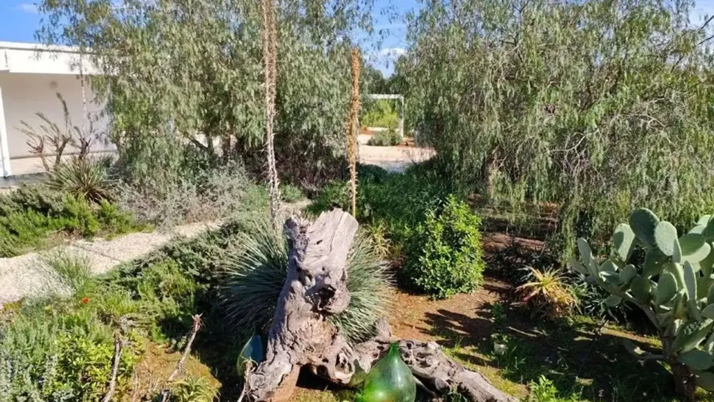 Aed - Luxury Villa with Pool near Ostuni